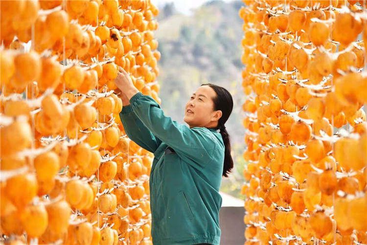 果園風(fēng)光
