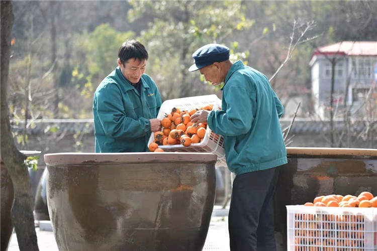 果園風(fēng)光