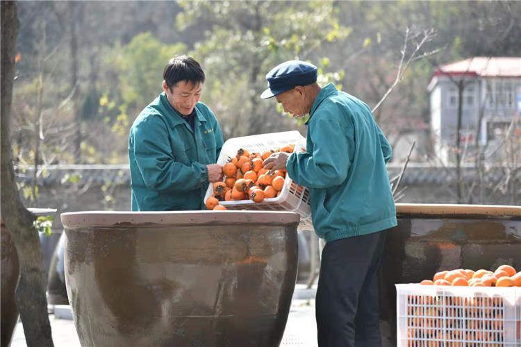 果園風(fēng)光